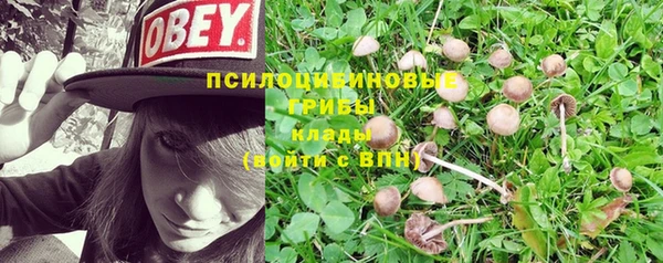 метадон Алзамай