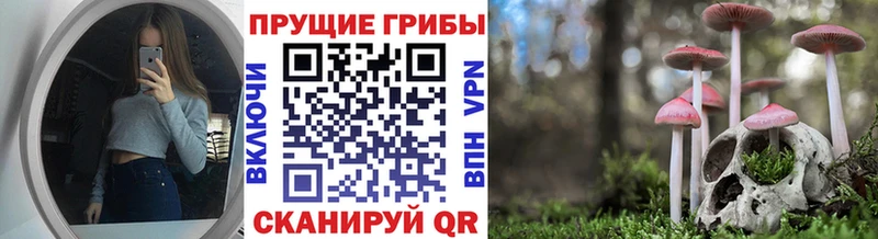 Галлюциногенные грибы Cubensis  наркошоп  Алзамай 